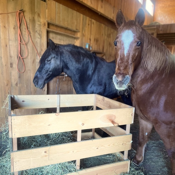 DEAL/NO DEAL!! Make an offer, see if we have a deal/No Deal! - Picture 1 of 1